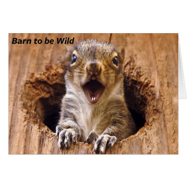 Skadad ekorre hälsningskort (Framsidan Horizontal)