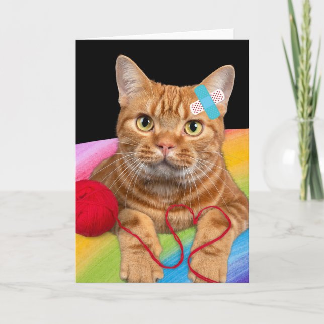 Skadad katt på regnbåge kort (Framsida)