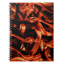 Skadad korall- eller mörk-lax, svart bakgrund anteckningsbok