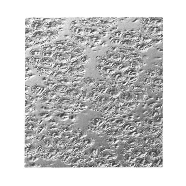 Skadad silver metall anteckningsblock (Framsida)