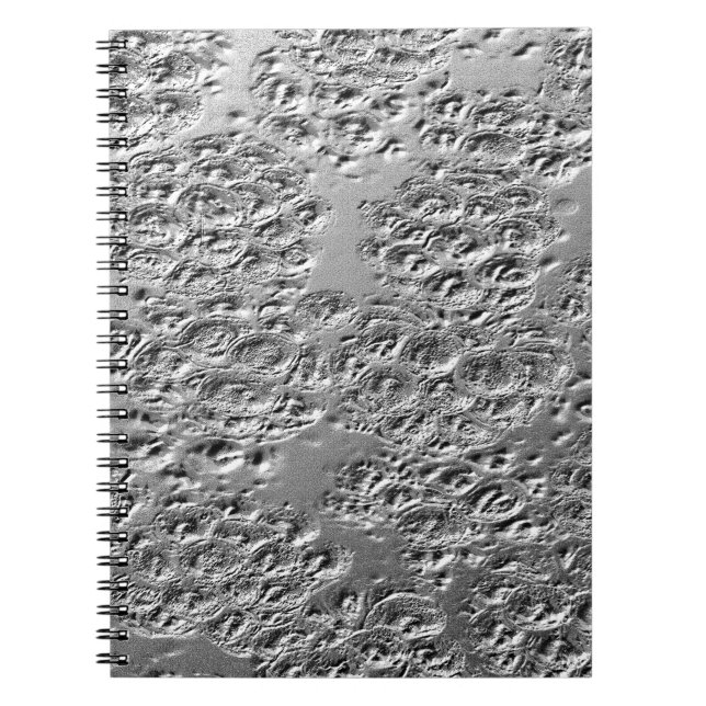 Skadad silver metall anteckningsbok (Framsidan)