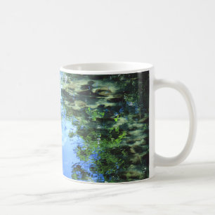 Skadad skönhet i sköldpaddskonsten kaffemugg