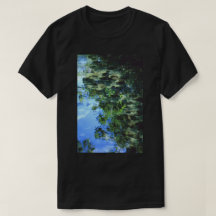 Skadad skönhet i sköldpaddskonsten