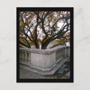 Skadat akvarium: höst vykort