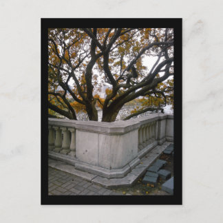 Skadat akvarium: höst vykort