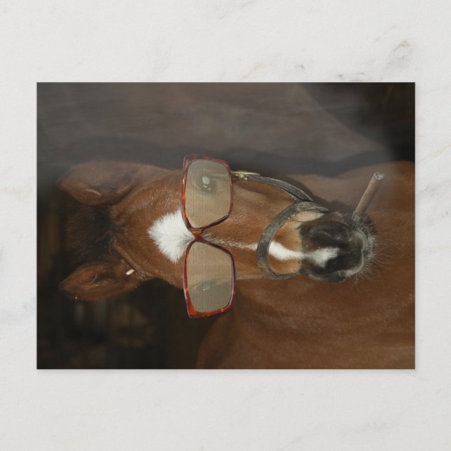 Skadat vykort för kräftdjursrök (Framsida)