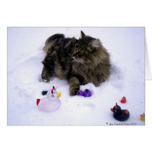 Skadlig Snö Cat Hälsningskort