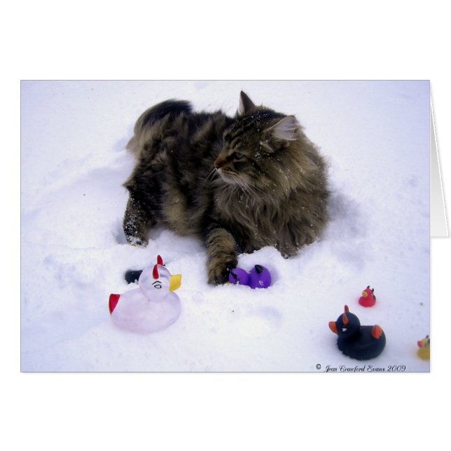 Skadlig Snö Cat Hälsningskort (Framsidan Horizontal)