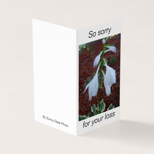 Skadlig vit Sol Hosta Flowers på sympati Kort (Utsida)
