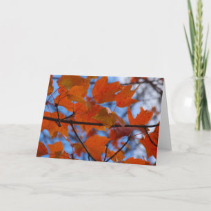 Skadliga Höst löv Helgkort