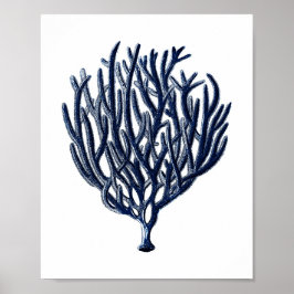 Skador för marin blåhavskorallvvägg poster