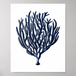 Skador för marin blåhavskorallvvägg poster