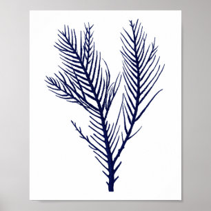 Skador för marinens blåa bröstkorgsvägg poster