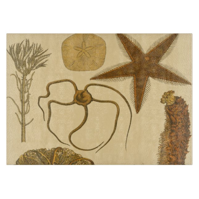 Skador under vatten (Framsidan)