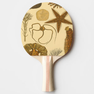 Skador under vatten pingisracket