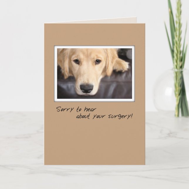 Skaffa bra Hund, Golden Retriever Kort (Framsida)