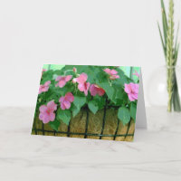 Skaffa dig Basket i Impatiens Card