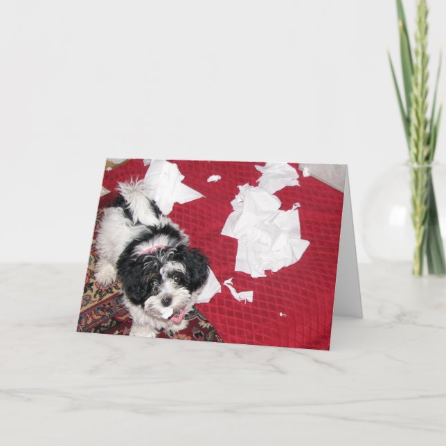 Skaffa dig bra - Havanese Puppy Card Kort (Framsida)