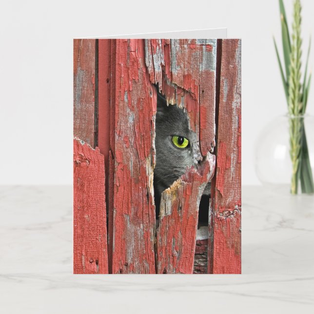 Skaffa dig snart. kort (Framsida)