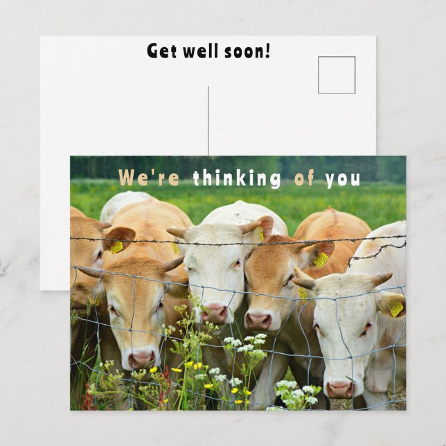 Skaffa dig snart Ranch Farm Cattle Land Flowers Vykort (Fram/baksida)