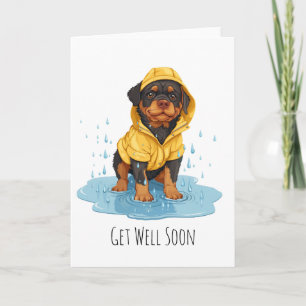 Skaffa dig snart Rottweiler Hund Wearing Rainrock Kort
