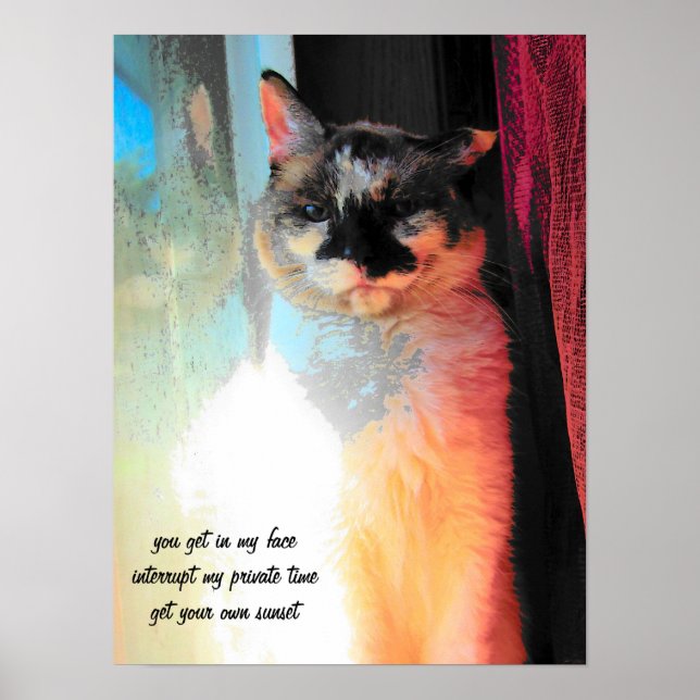 Skaffa din egen sollager Haiku Poster (Framsidan)