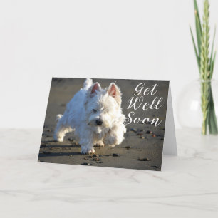 Skaffa ett bra kort för Westie Photo Card inom kor