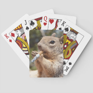 Skaffa ett ekorrekord casinokort