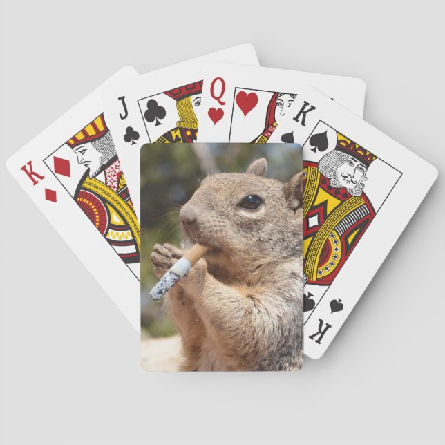 Skaffa ett ekorrekord casinokort (Baksidan)