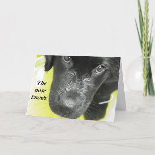 Skaffa ett kort snart för upphettning