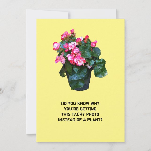 Skaffa ett snyggt blommigt, hälsningskort julkort (Framsida)