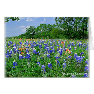 Skaffa kudden hälsningskort