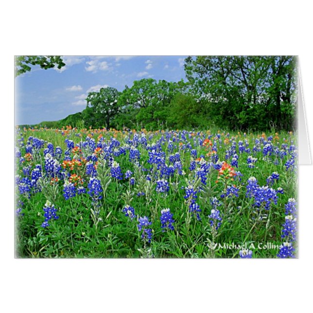 Skaffa kudden hälsningskort (Framsidan Horizontal)