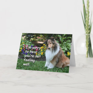 Skaffa Sheltie Kort