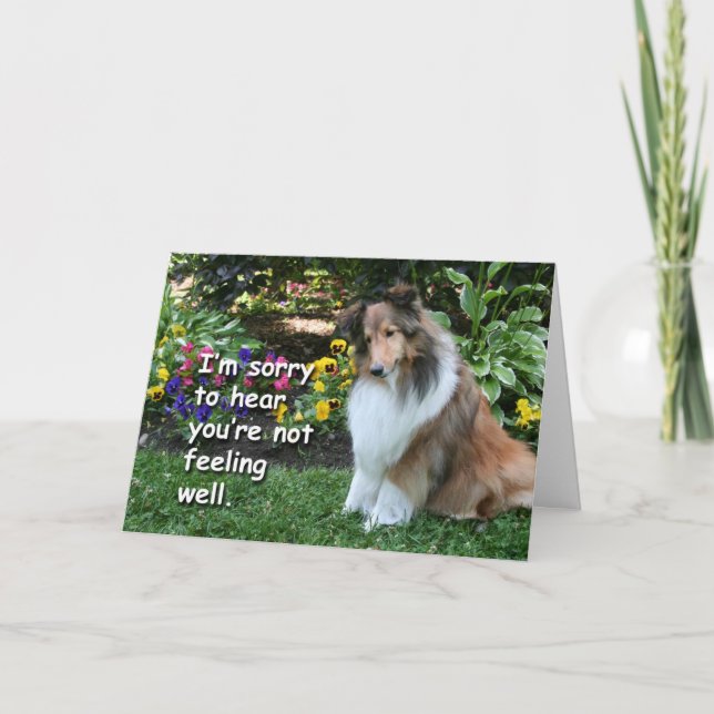 Skaffa Sheltie Kort (Framsida)