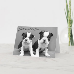Skaffa snart Boston Terrier-hundvalbiskort Kort
