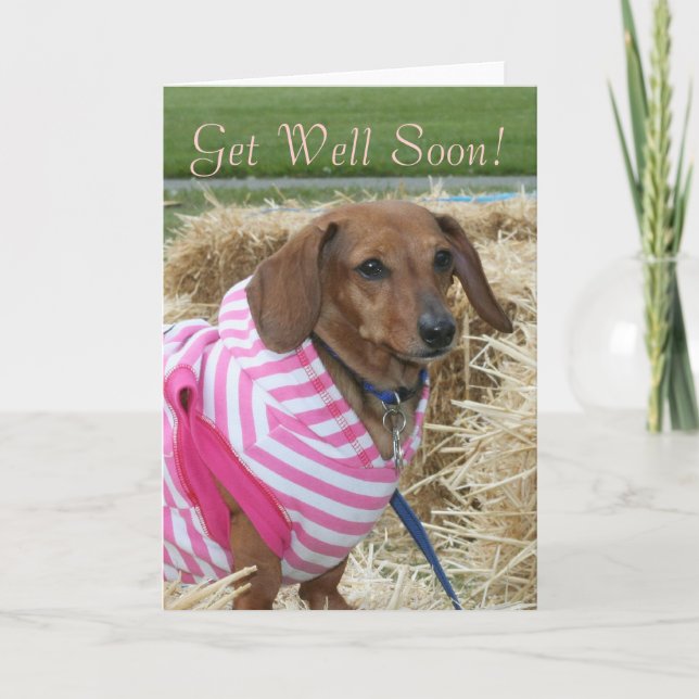 Skaffa snart ett hälsningskort för Dachshund Kort (Framsida)