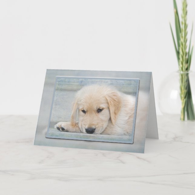 Skaffa snart Golden Retriever-valpen Kort (Framsida)