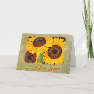 Skaffa snart Sunblommor Kort
