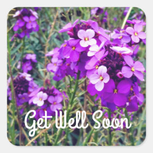 Skaffa snart WallblomBowles Mauve #1 Stickers Fyrkantigt Klistermärke
