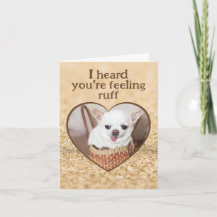 Skaffa snygga hund chihuahua-hjärtskärmar kort