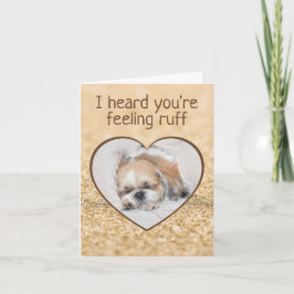Skaffa snygga hund shihtzu-sömngnistor kort