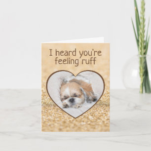Skaffa snygga hund shihtzu-sömngnistor kort