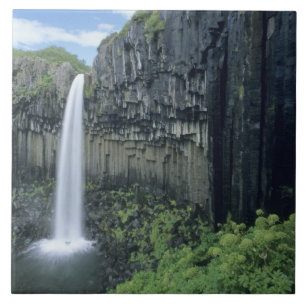 Skaftafell nationalpark, Svartifoss vattenfall, Kakelplatta