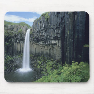 Skaftafell nationalpark, Svartifoss vattenfall, Musmatta