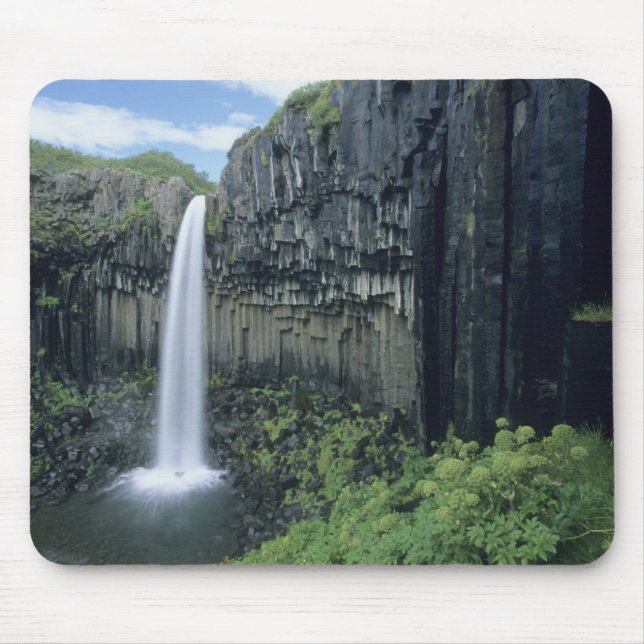 Skaftafell nationalpark, Svartifoss vattenfall, Musmatta (Framsidan)