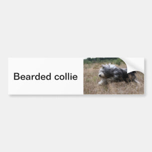 skäggig collie bildekal