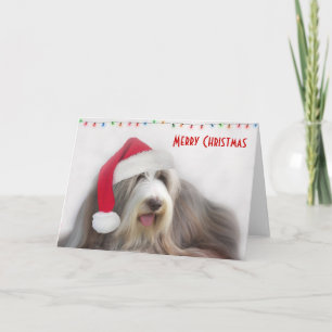 Skäggig Collie för god jul Helgkort