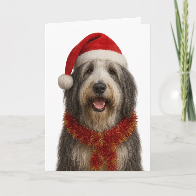 Skäggig collie i en tomtehatt julkort kort (Framsida)