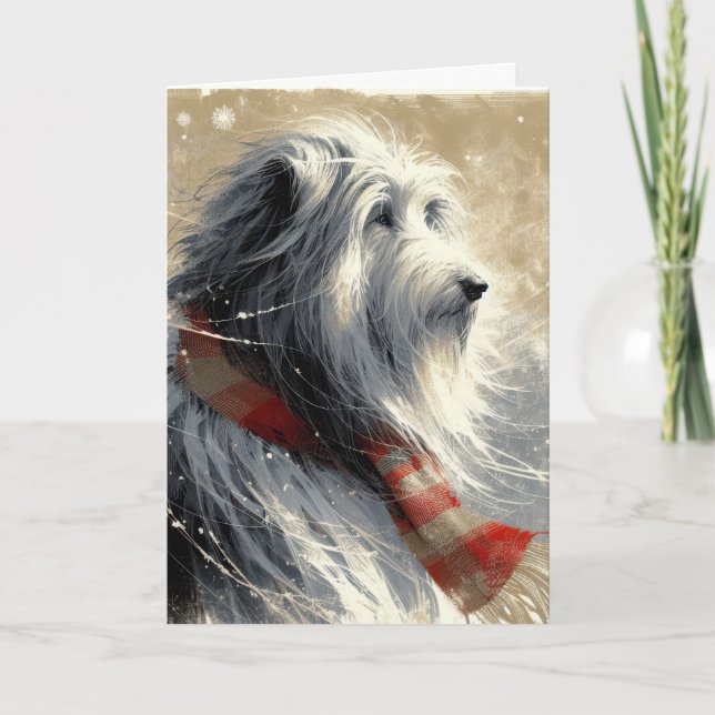 Skäggig collie i snöflingor på julafton kort (Framsida)